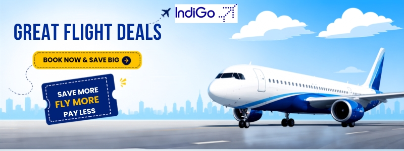 Indigo Flight offers