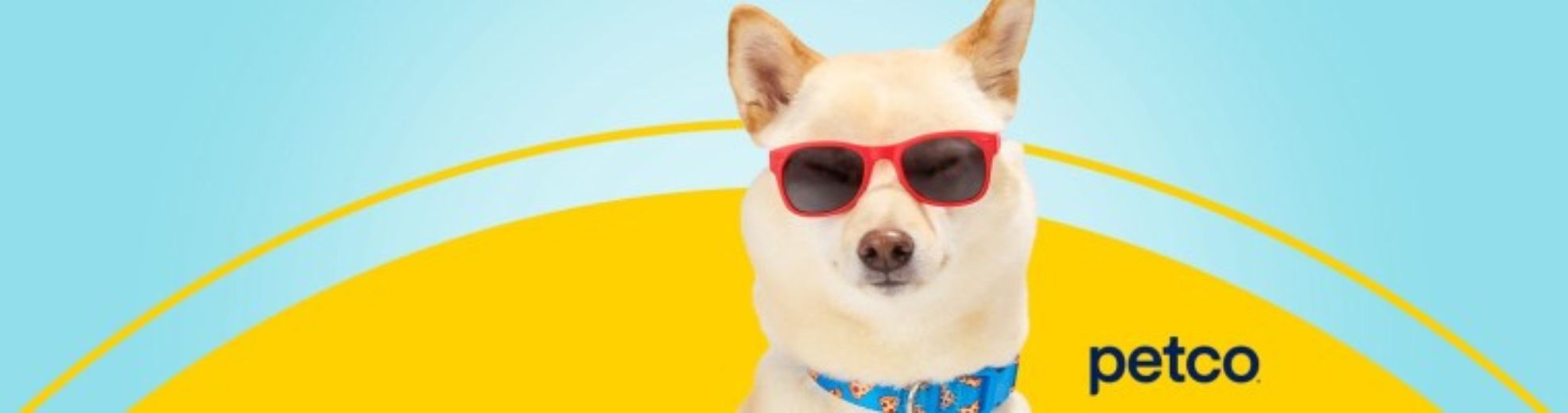 Petco Banner